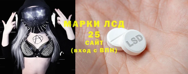 таблы Богородицк