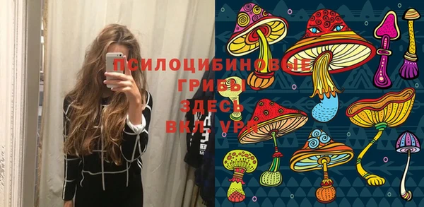 круглые Зеленокумск