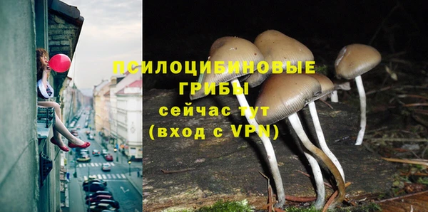 PSILOCYBIN Богородск