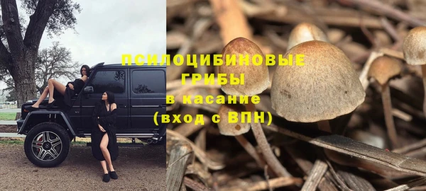 PSILOCYBIN Балахна