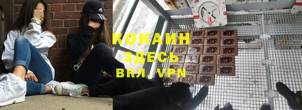 PSILOCYBIN Богородск